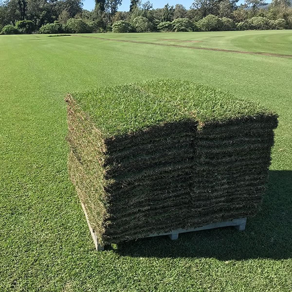 premium sod supplier Premium Sod Supplier